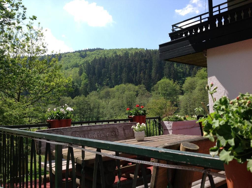 Hotel-Pension Zum Paradies วิลลิงเงิน ภายนอก รูปภาพ